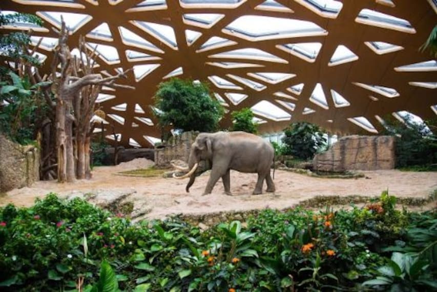 Zoo Zurich-1